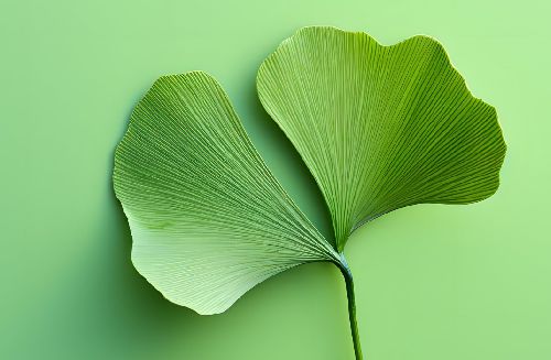 宜昌优联维尔仪器有限公司